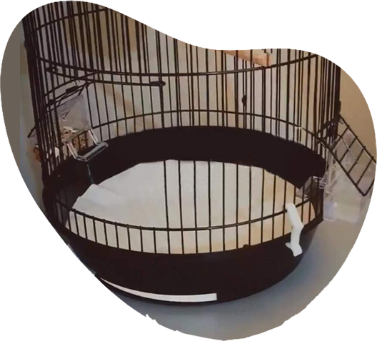 Bird Cage Liner EZ Cageliners Bird Cage Liners Plain and Coated Custom Cut to Order 150 Sheets Cut to Size-Message US with Sizes